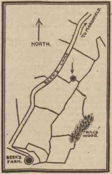 File:Druid Stones.png